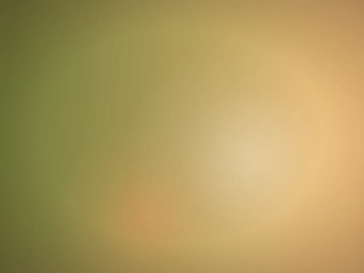 شاورما — سخان وسط