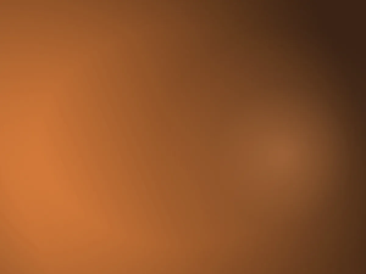 لحم الحاشي مع الرز
