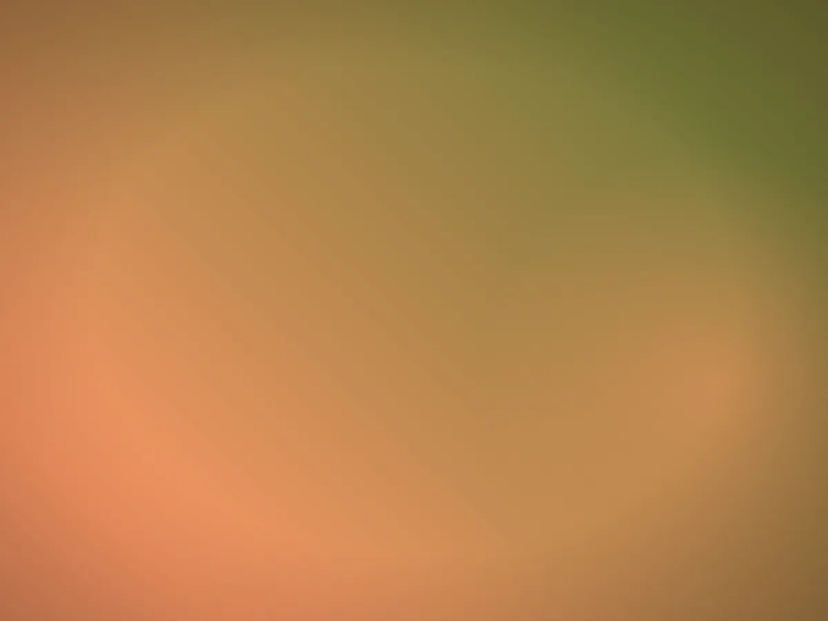 رز حساوي — سخان كبير