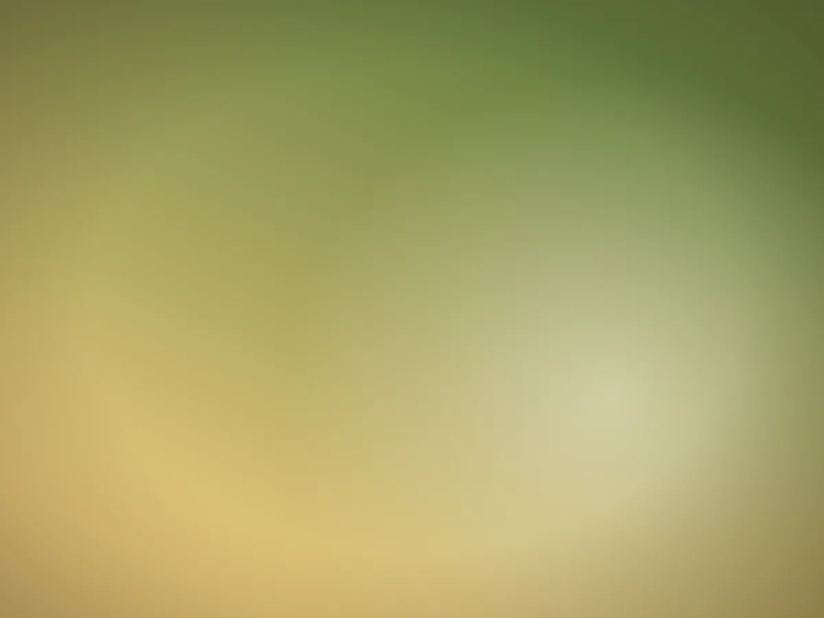 صينية حمام — سخان وسط